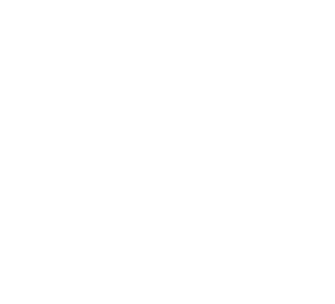 P49 logo
